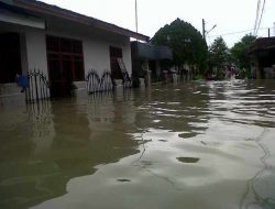 1.500 Rumah Tergenang Banjir di Kab. Bengkalis