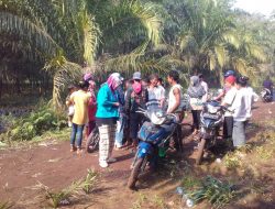 PEKAT IB Riau: Tindak Tegas Pembuat Resah Masyarakat Rupat