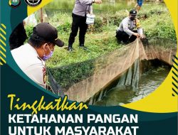 Menuju New Normal: Polsek Tanjungpinang Timur Budidaya Ribuan Ikan Air Tawar