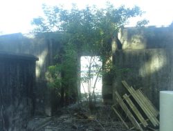 Jejali Desa Bontolebang Menguak Fakta Sejarah Emas Hijau di Selayar