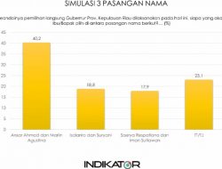 Survei Indikator Indonesia : Awal November 2020 Ansar-Marlin Melejit