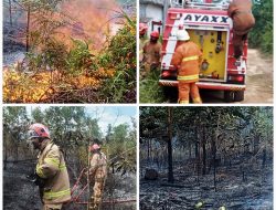 Lagi, DPKP Tanjungpinang Padamkan si Jago Merah di Lahan Terbakar