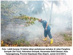 Belasan Hektar Lahan Terbakar di Sei Toca, DPKP Turunkan 4 Mobil Damkar
