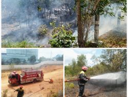 Hanya 60 Menit, DPKP Padamkan Api yang Membakar Lahan di Belakang RSUP RAT