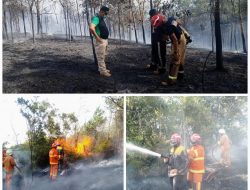 Hutan Lindung (Sungai Pulai) Terbakar, DPKP Gerak Cepat Padamkan Api