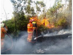 1,5 Hektar Lahan Kosong Milik PT Kedaung Grup Jakarta Hangus Terbakar