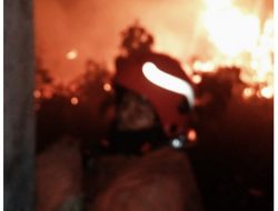 Lagi Lahan Kosong Terbakar, DPKP Gerak Cepat Padamkan Api