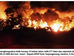 Dini Hari Api Hanguskan 10 Hektar Lahan di Kampung Bebek