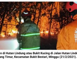 Foto : Luar Biasa, DPKP Tanjungpinang Padamkan Api di 7 Lokasi yang Membakar Lahan dan Gubuk