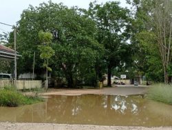 Akibat Hujan, Jalan di Bobong Ini Tergenang Air