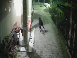 VIRAL.. Pencuri Tanaman Hias di Tanjung Morawa Terekam CCTV.