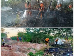 Akibat Bakar Sampah, Lahan di 2 Kelurahan Ini Terbakar