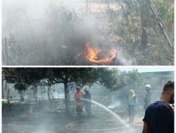 Lahan di Jalan Bahari (Yudowinangun) Terbakar, DPKP Tanjungpinang Gerak Cepat Padamkan Api