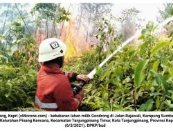 Sehari DPKP Tanjungpinang Evakuasi Biawak, Sarang Tawon serta Padamkan Api