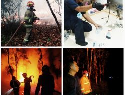 Usai Evakuasi Ular Kobra, DPKP Tanjungpinang Bantu Padamkan Kebakaran di Kabupaten Bintan