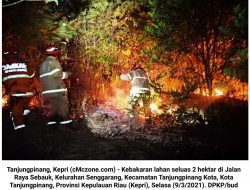 DPKP Tanjungpinang Turunkan 3 Mobil Damkar Atasi Kebakaran Lahan di Sebauk