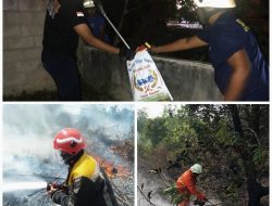 Bukan Hanya Padamkan Api, Hari Ini Petugas DPKP Evakuasi Ular Bergelantungan di Pohon