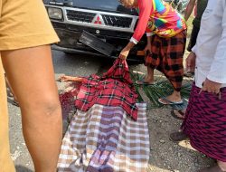 Telah Terjadi Kecelakaan Jalan Lintas Sumatra (Jalinsum)km 24 Tabir, Satu Orang Meninggal Dunia