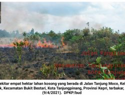 Akibat Bakar Sampah, 4 Hektar Lahan di Tanjung Moco Terbakar