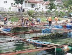 Danau Toba Sebagai Destinasi Wisata Super Prioritas, Forkopimda Simalungun Tata Keramba Jaring Apung