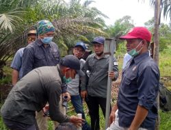 Dinas Kehutan Provinsi Jambi Beserta Tim Teknis Resorasi Gambut Kunker Ke Desa Catur Rahayu