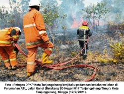 Kerahkan 1 Armada Damkar, Petugas DPKP Padamkan Kebakaran Lahan di Ganet