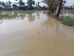 Banjir….Masyarakat Sungai Rampah Berharap Perhatian Pemerintah