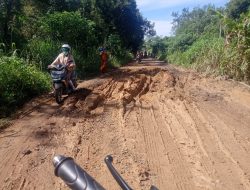 Jalan Desa Sogo Sulit Untuk Dilalui, Masarakat Minta Dinas Terkait Untuk Perbaiki