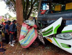 Telah Terjadi Tabrakan Maut di Jalinsum Bus vs Suzuki Carry