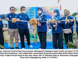 Ansar Ahmad Resmikan ‘Kampung Germas’ Kepri di Batu IX Tanjungpinang