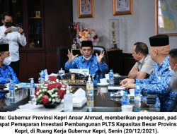 Ansar Ahmad Dukung Investasi PLTS Berkapasitas Besar di Kepri