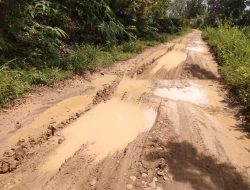 Jeritan Masyarakat Desa Rantau Macang Mengenai Berlumpurnya Jalan Makin Hari Makin Parah