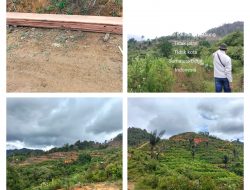 LSM Lingkungan Segera Laporkan Kasus Dugaan Perambahan Hutan dan Ilegal Loging di Kabupaten Limapuluh Kota ke Gakkum KLHK