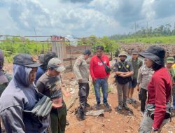 Viral” Diduga Seorang Pekerja Diterkam Harimau Sumatra, Tim Gabungan Polres Muaro Jambi Dan BKSDA Prov Jambi Evakuasi Korban Di Lokasi