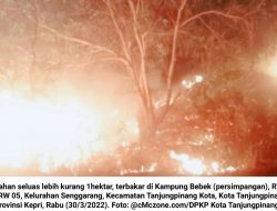 Lahan Terbakar di Kampung Bebek, DPKP Gerak Cepat Padamkan Api