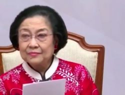 Migor langka, Megawati: Apa Tidak Ada Cara Merebus?