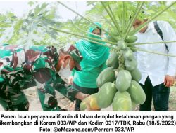 Brigjen TNI Jimmy Ajak Masyarakat Kepri Budidaya Tanaman Hortikultura