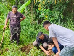 RKN Melalui Eko Wahyudi Tanam Bibit Durian Musang King Untuk Keluarga Yatim di Nagari Batu Payuang