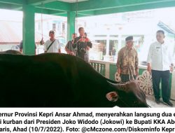 Ansar Ahmad Serahkan Sapi Qurban dari Jokowi kepada Bupati KKA