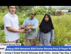 EKO-RKN ‘musang King’ Kembali Sebar dan Tanam Bibit Durian Untuk 4 Anak Yatim di Jorong 3 Alua, Batu Balang