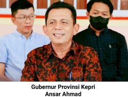 Kepri Masuk dalam 13 Provinsi untuk Peta Peluang Investasi Indonesia