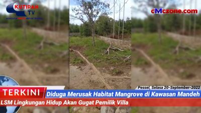 Diduga Merusak Habitat Mangrove di Kawasan Mandeh, LSM Lingkungan akan Gugat Pemilik Villa