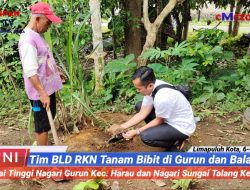Tim BLD Musangking RKN Tanam Bibit di Gurun dan Balai Talang
