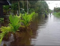 Warga Teluk Dawan Pinta : Pasang Lampu Penerang Jalan Utama Sebelum Makan Korban