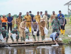 Bupati Rohil Dampingi Gubri Laksanakan Panen Raya Padi