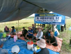 Reses Anggota DPRD Provinsi Jambi Hj. Nurhayati, Masyarakat Ajak Panen Padi Bersama Kelompok Tani