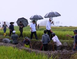Presiden Tinjau Pelaksanaan Padat Karya Tunai di Tanah Datar