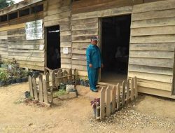 SDN 020 Desa Balung Bak Kandang Kambing, Aktifis LSM PMPRI-I : Pemkab Kampar Harus Memberikan Perhatian Khusus.