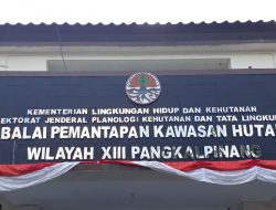 HUT RIMBAWAN KE 35 TAHUN DIBALAI PEMANTAPAN KAWASAN HUTAN (BPKH) BANGKA BELITUNG.