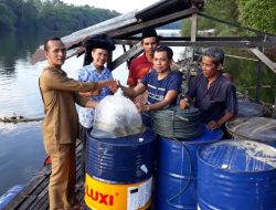 Hebat, Demi Tingkatkan Perekonomian Warga, Kades Pulau Jambu Bantu Petani Kerambah.